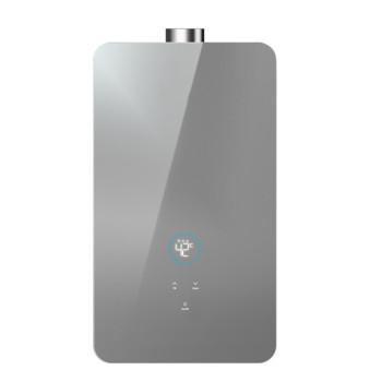Constant Temperature Gas Water Heater JSQ-D306A
