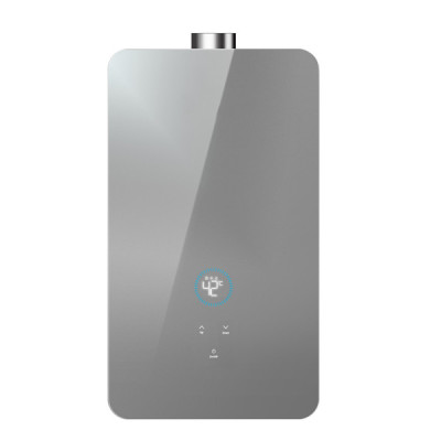 Constant Temperature Gas Water Heater JSQ-D306A