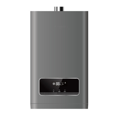 Constant Temperature Gas Water Heater JSQ-D55