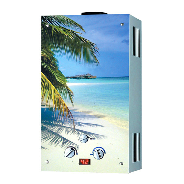 Greaidea's flue gas water heater
