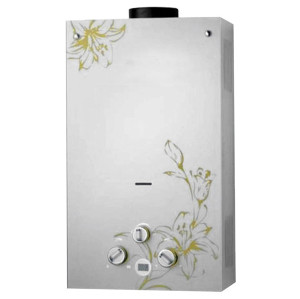 Flue Duct Gas Water Heater JSD-G6