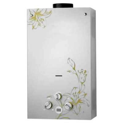 Flue Duct Gas Water Heater JSD-G6