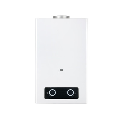 Flue Duct Gas Water Heater JSD-D14