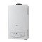 Flue Duct Gas Water Heater JSD-W12