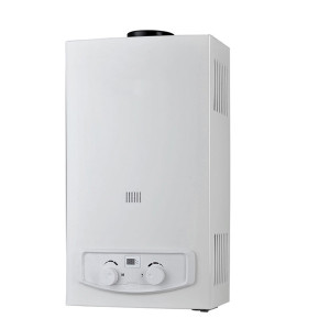 Flue Duct Gas Water Heater JSD-W12