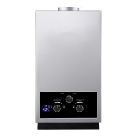 Flue Duct Gas Water Heater JSD-D10