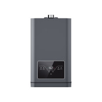Constant Temperature Gas Water Heater JSQ-D51