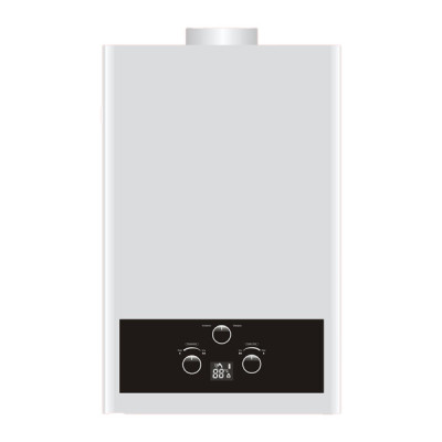Flue Duct Gas Water Heater JSD-D18