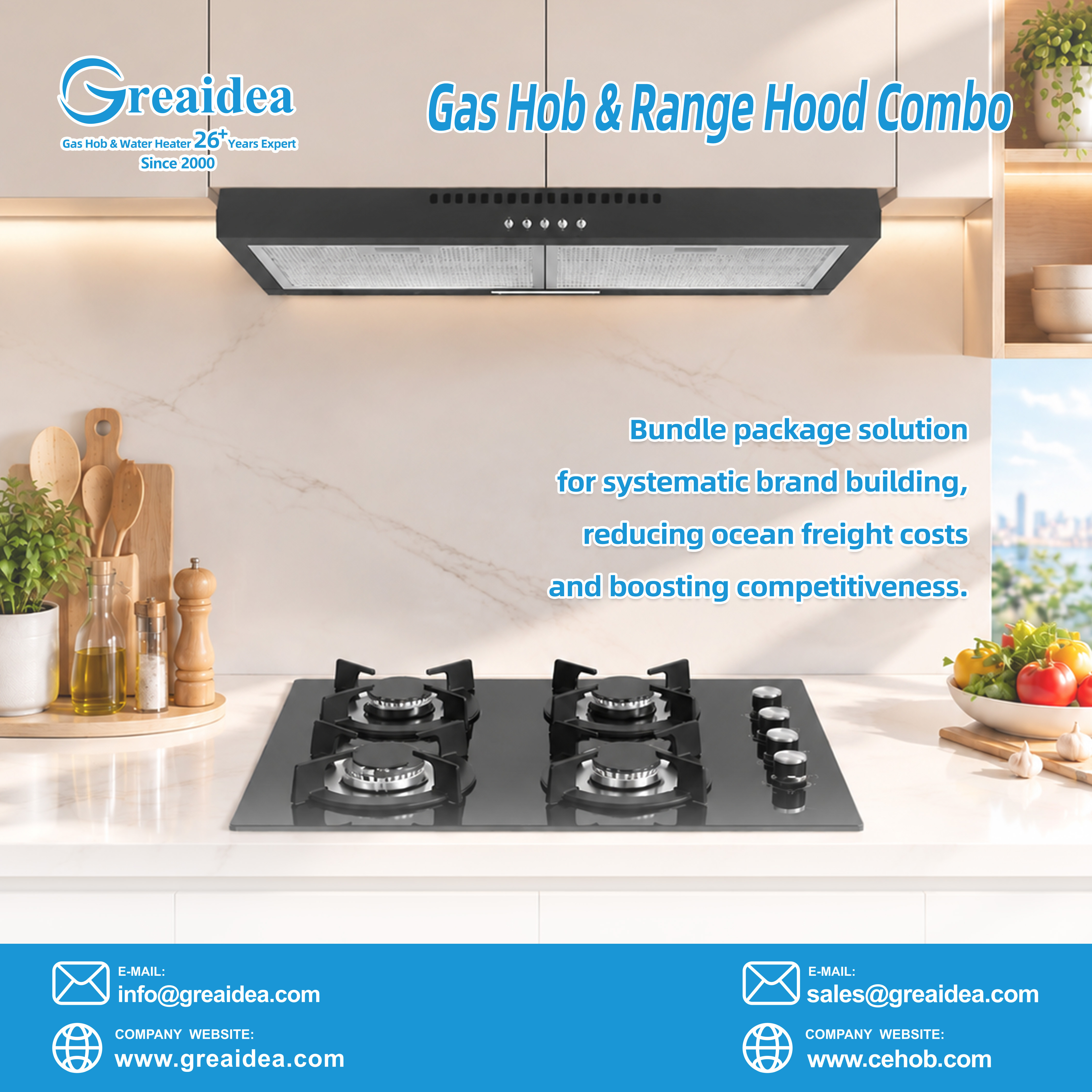 gas hob & range hood combo