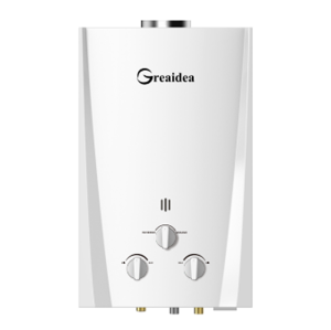 Calentador de agua a gas con conducto de humos JSD-W2