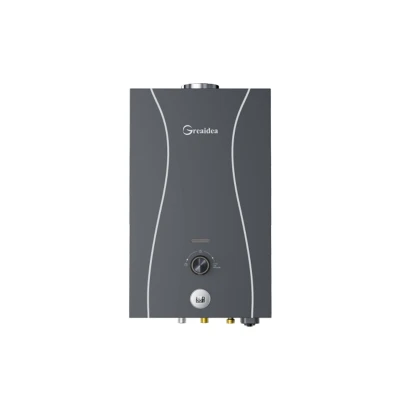 Flue Duct Gas Water Heater JSD*-D1