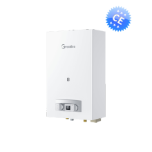 Calentador de agua a gas de bajo consumo energético JSD22-D1-D5 de la UE