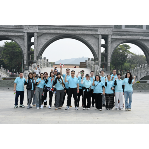 Создание команды Greaidea — сосредоточьтесь на начале нового пути