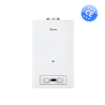 Flue Duct Gas Water Heater JSD-D13