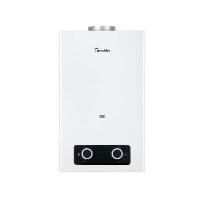 Flue Duct Gas Water Heater JSD-D14