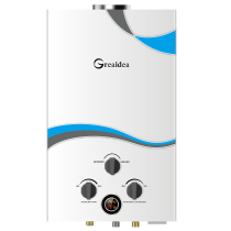 Flue Duct Gas Water Heater JSD-D4