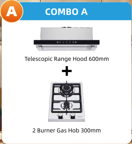 Greaidea's 2 burner gas hob and range hood combo set