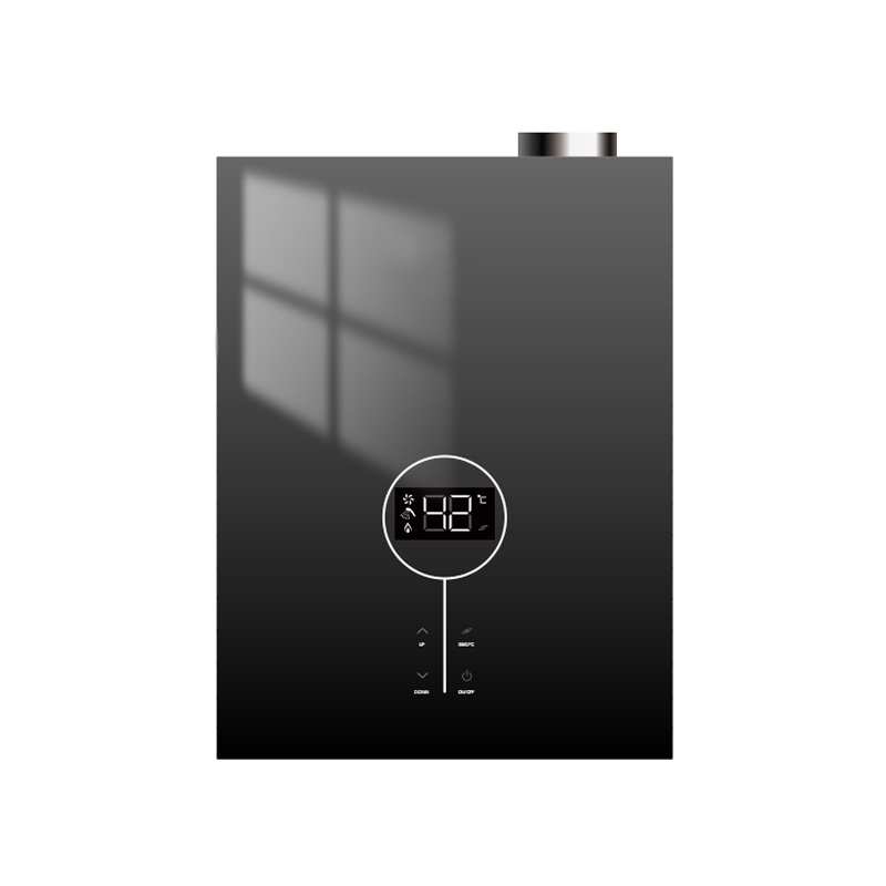 Constant Temperature Gas Water Heater