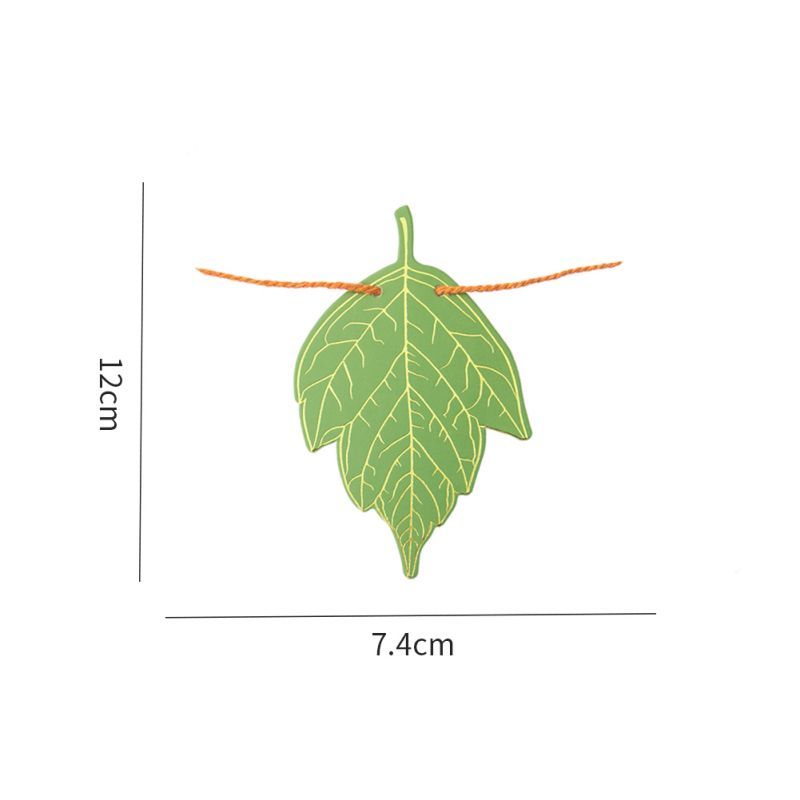 size of the leaf