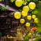25pcs Yellow Paper Lanterns for Party Decorations | Paper Hanging Decorations Wholesale