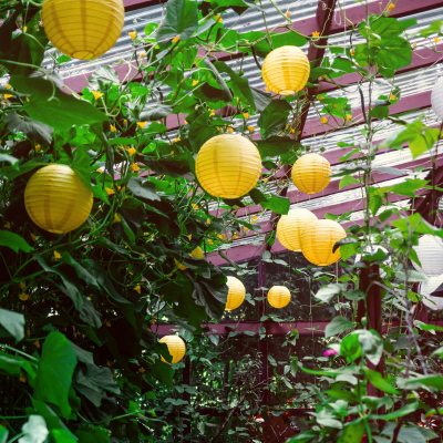 25pcs Yellow Paper Lanterns for Party Decorations | Paper Hanging Decorations Wholesale
