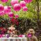 25pcs Pink Cute Paper Lanterns for Party Decorations about Birthdays Christmas Weddings and Special Occasions