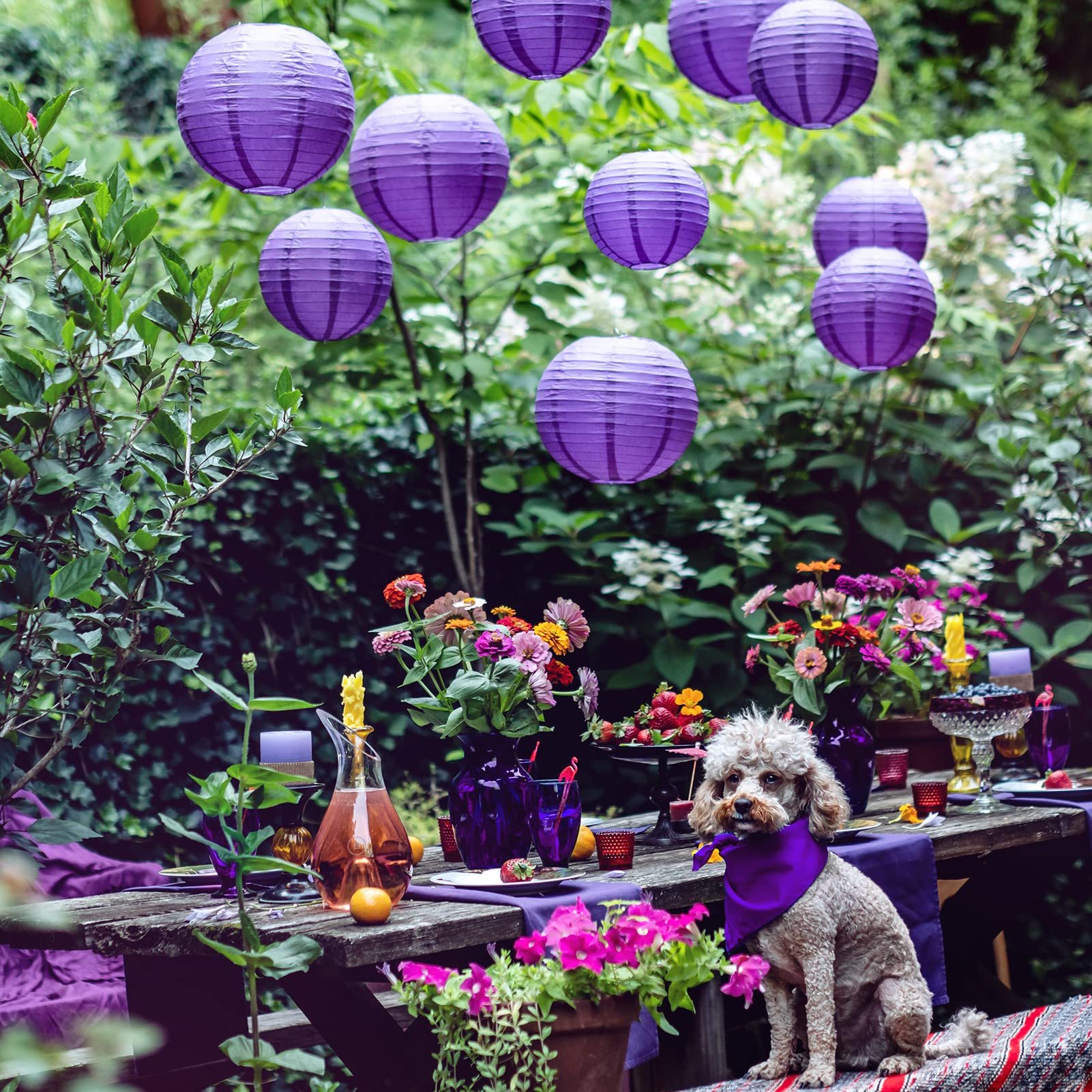 paper star lanterns