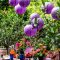 25pcs Romantic Purple Paper Lanterns for Party Decorations about Birthdays Christmas Weddings and Special Occasions