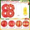 12 Pcs Christmas Party Red Paper Lanterns with LED Light Colorful Christmas Elk Paper Lantern Lamps
