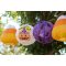 3pcs Halloween Party Themed Hanging Pumpkin Paper Lanterns