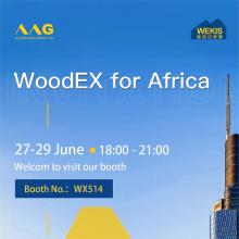 WEKIS at WoodEX for Africa 2023