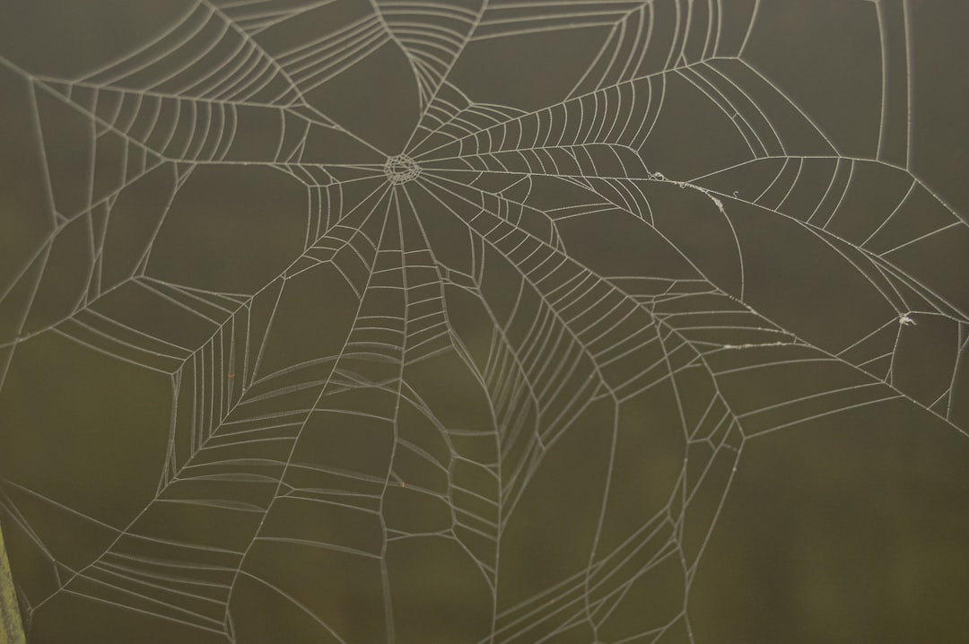 A chart comparing different spider leg materials and their properties