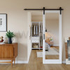 Mirror Barn Door 201801: A Double-Sided Mirrored Sliding Door