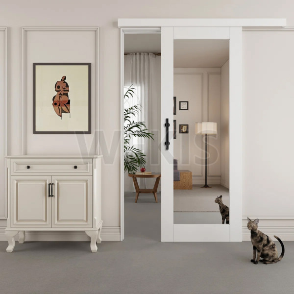 Hidden Track Barn Door 202001: A Double-Sided Mirror on an Enclosed Aluminum Track