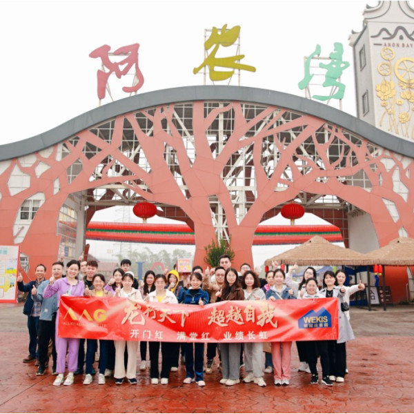 أنشطة بناء فريق WEKIS في أوائل عام 2024