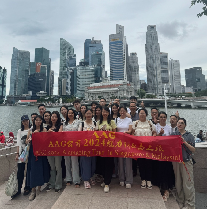 Explorando la unidad y la cultura: un viaje inolvidable de WEKIS a Singapur