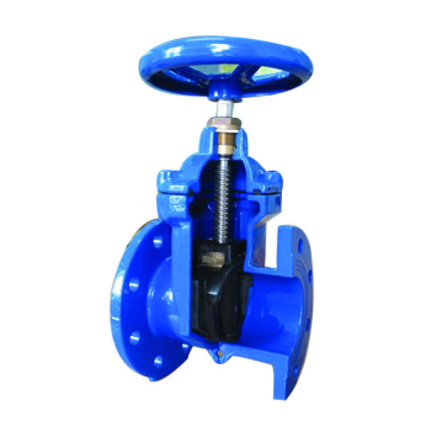 Custom Resilient Seat Gate Valve For Water Pipe