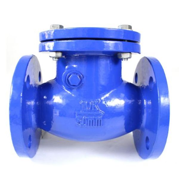 Custom Cast Iron Flange Swing Check Valve For Water