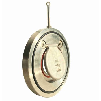 Swing Check Valve/Single Plate Swing Check Valve