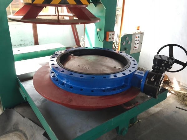 lug butterfly valve test