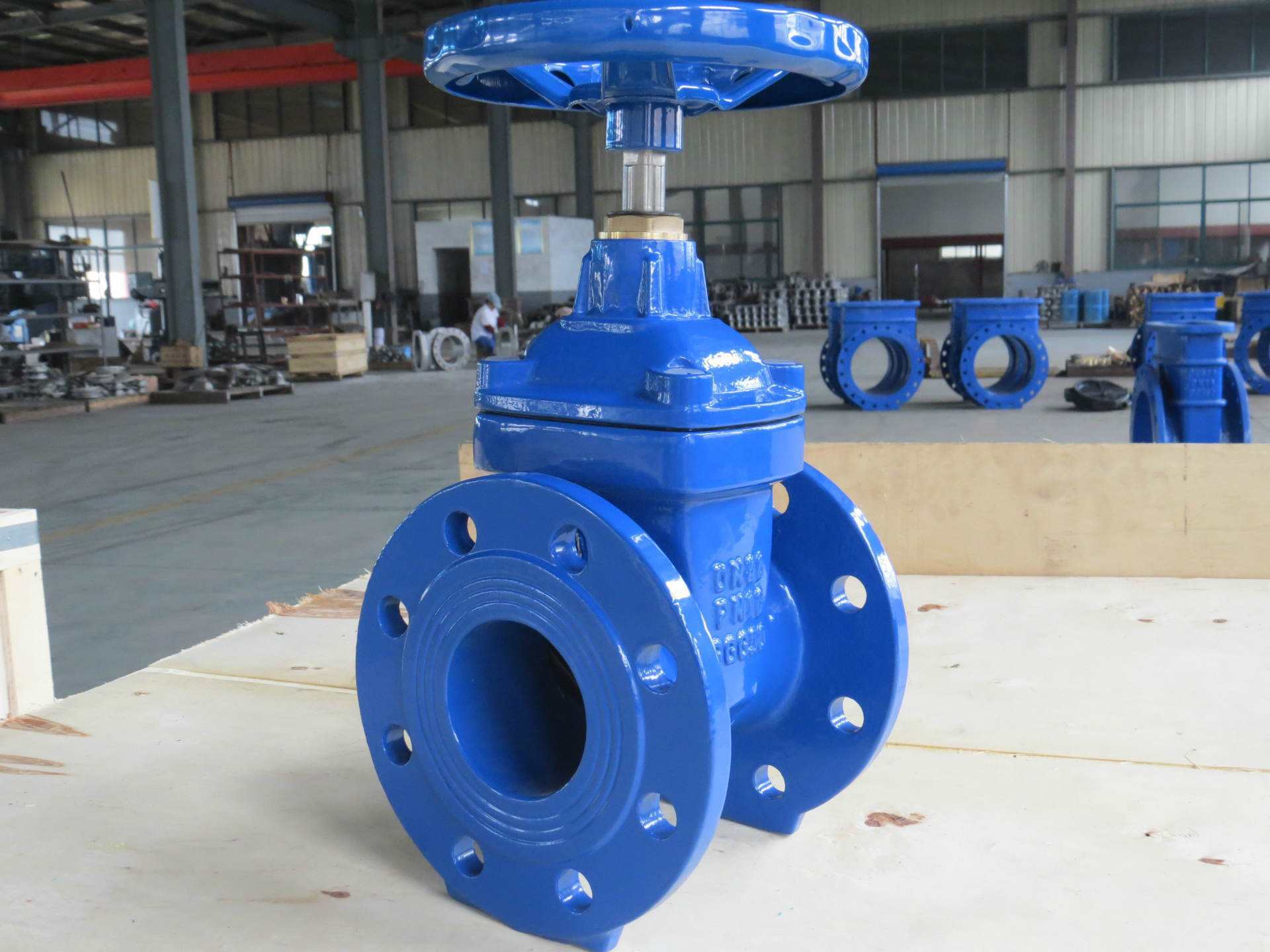 F5 Resilient Seat Gate Valve