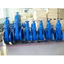 Custom F5 Resilient Seat Gate Valve For Sewer Line-Soft Seated Oval Body Gate Valve