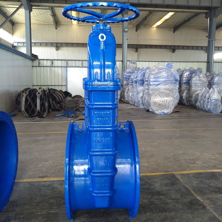 Custom Resilient Seat Gate Valve Manufacturer