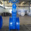 Custom Resilient Seat Gate Valve For Water Pipe