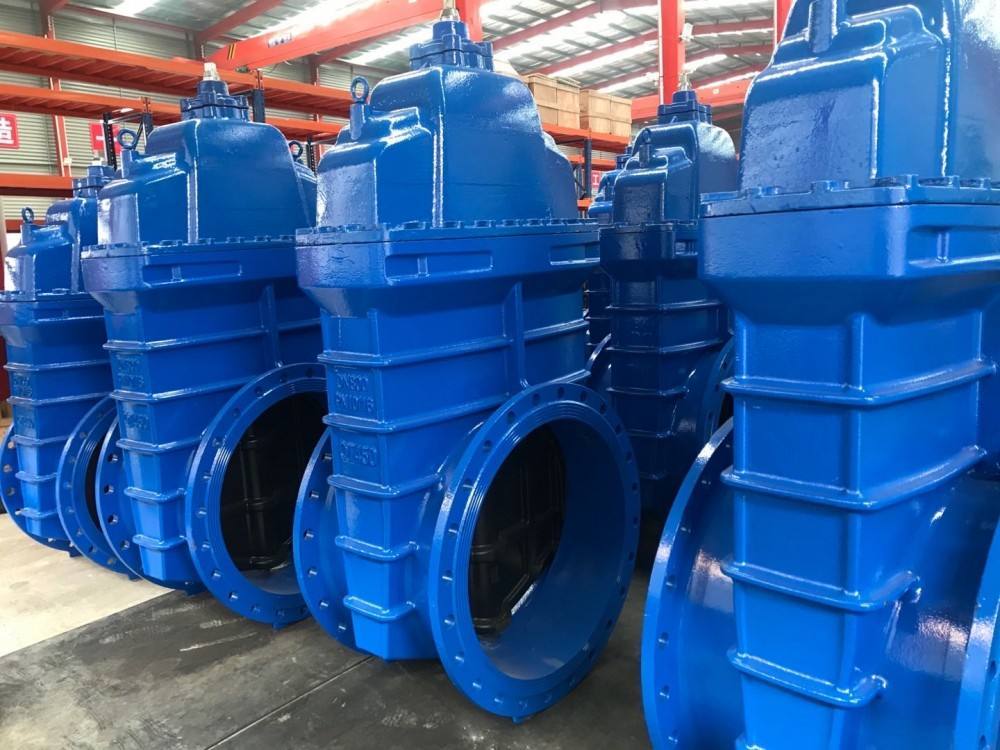 Soft Seated Oval Body Gate Valve