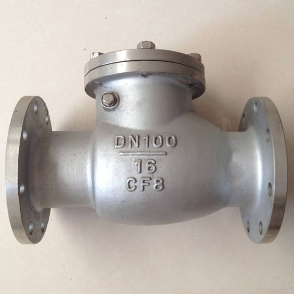 Custom Stainless Steel Flange Swing Check Valve Workshop