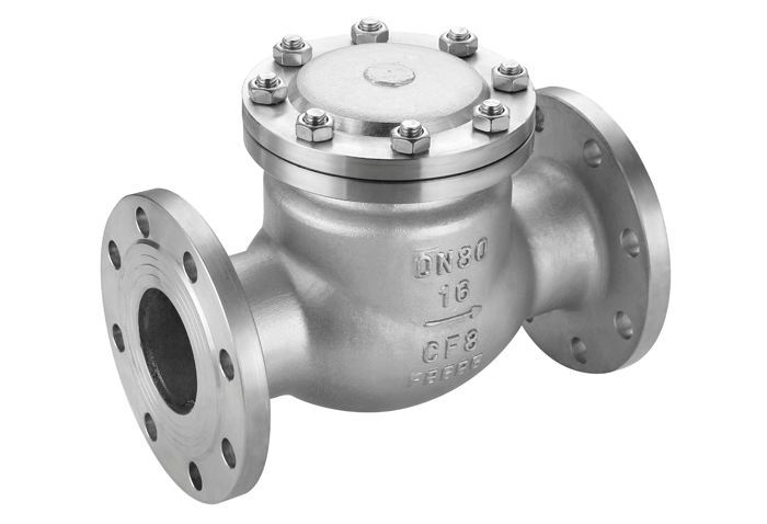 Custom Stainless Steel Flange Swing Check Valve Factory