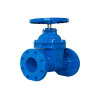 Custom F5 Resilient Seat Gate Valve For Sewer Line-Soft Seated Oval Body Gate Valve