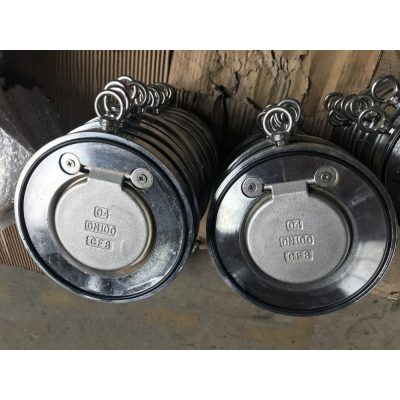 Swing Check Valve/Single Plate Swing Check Valve