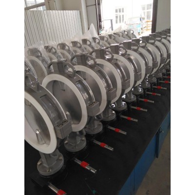Teflon butterfly valve for biogas PTFE butterfly valve Corrosion-resistant butterfly valve